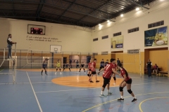 MG_5880
