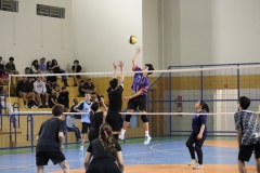 IMG_8746