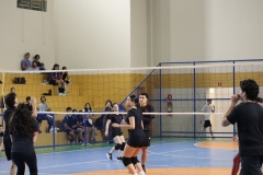 IMG_8953