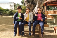 DSCN1386