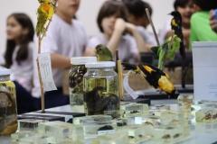 IMG_0839