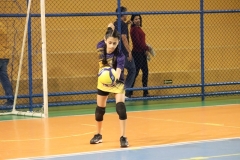 IMG_7981